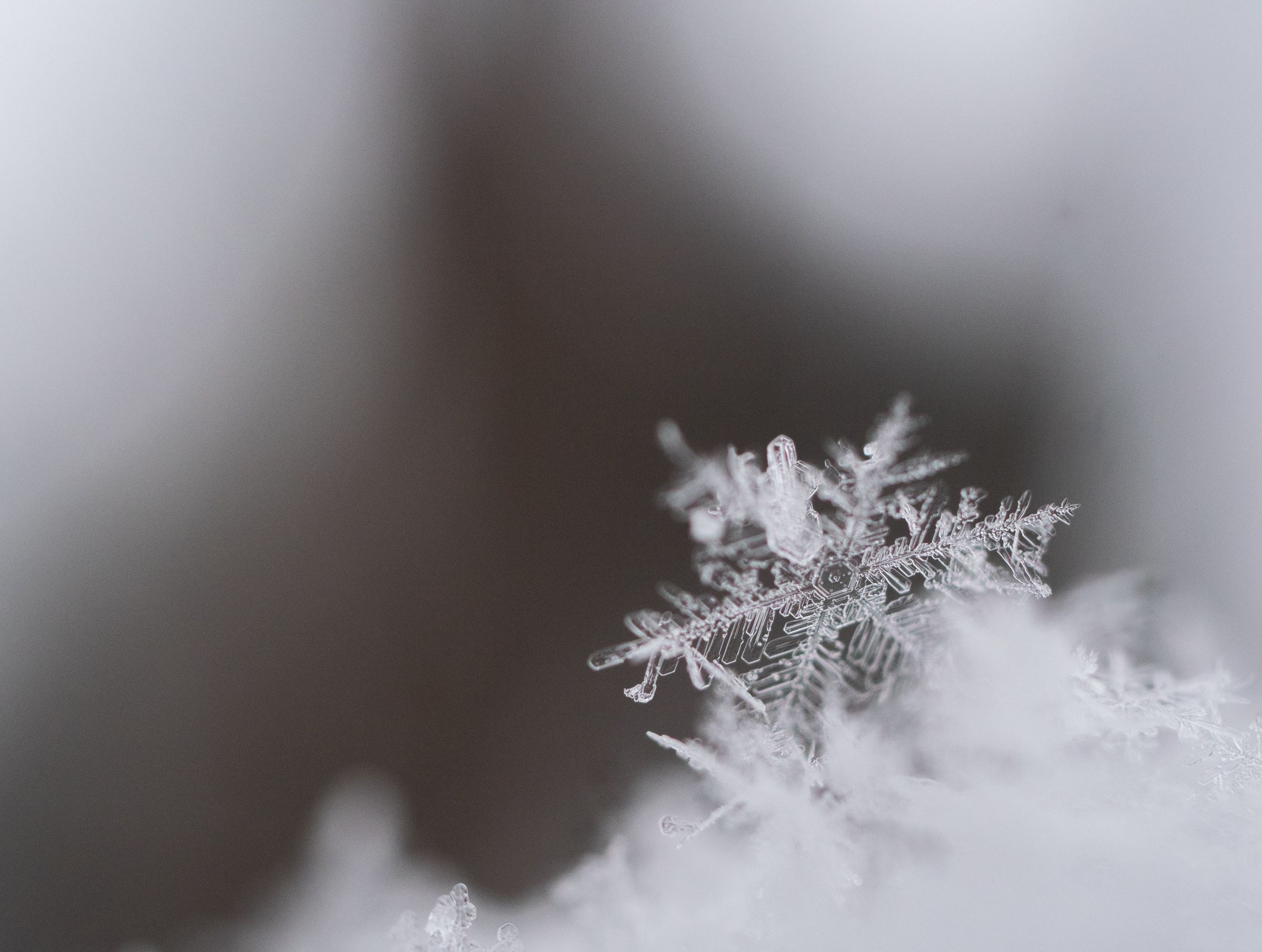 close-up snowflake photo to represent seasonal depression
